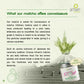 Ceremonial Grade A Matcha – 25g Premium Japanese Green Tea