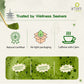 Ceremonial Grade A Matcha – 25g Premium Japanese Green Tea